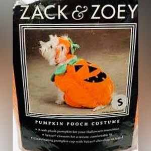 Zack & Zoey Pumpkin Pooch Dog Costume, Small